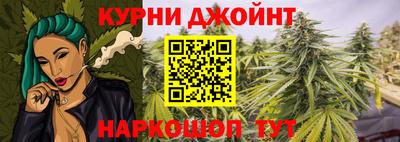 мяу мяу мука Гатчина