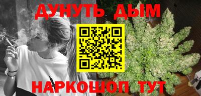 тгк Гай