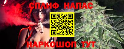 мяу мяу мука Гатчина