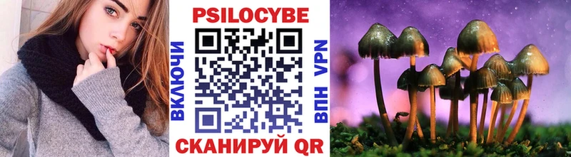 Галлюциногенные грибы мицелий  закладка  Заводоуковск 