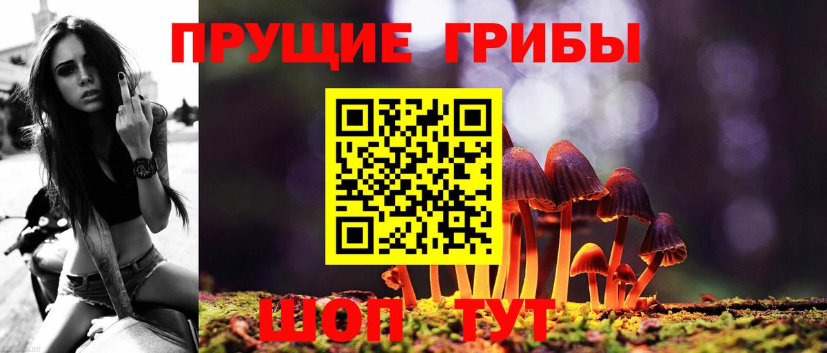 Заводоуковск  купить наркотик  Псилоцибиновые грибы мухоморы  Вход с VPN  Псилоцибиновые грибы GOLDEN TEACHER 